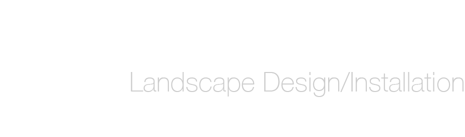 Rasheta Designs